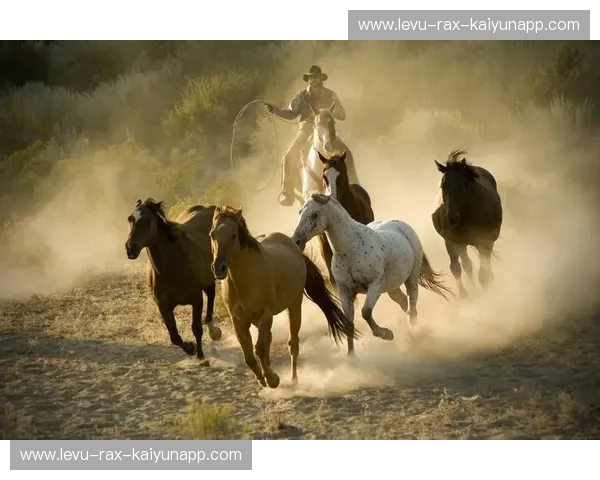 马术排名：从数据到荣耀，策马飞奔的秩序与魅力